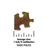 Bookshelf Mischief 1000 Piece Jigsaw Puzzle