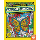 Color Counts Book