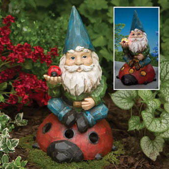 Solar Gnome and Ladybug