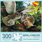 Learning To Fly Jigsaw Puzzle