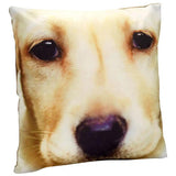 Dog Face Pillow Yellow Lab