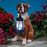 Solar LED Dog Breed Garden Lantern Bits and Pieces