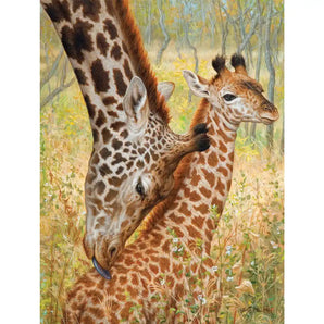 Tender LoveMasai Giraffes Jigsaw Puzzle