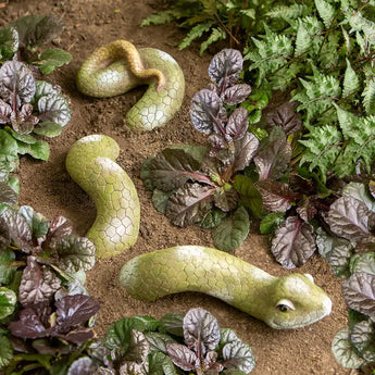 Garden Snake