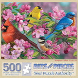 Songbird Colors Jigsaw Puzzle