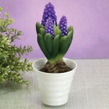 Sculptural Botanical Candle Hyacinth