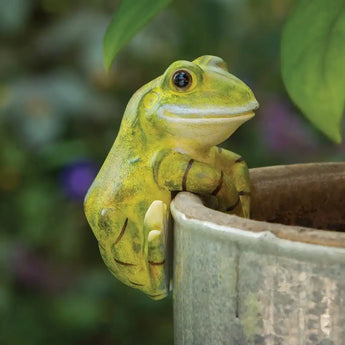 Frog Pot Hanger