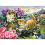 Set of 2 Adorable Cat 500 Piece Jigsaw Puzzles Bits and Pieces