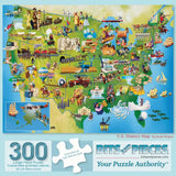 US History Map 300 Large Piece Jigsaw Puzzle