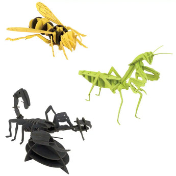 Set of 3 Dimensional Bug Puzzles