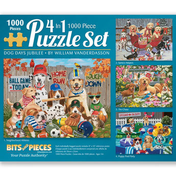 4-in-1 Puzzle Sets By William Vanderdasson