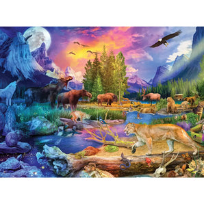 Night To Day North America Jigsaw Puzzle