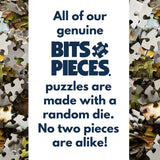 Set of 2 Joseph Burgess 500 Piece Jigsaw Puzzles Bits and Pieces