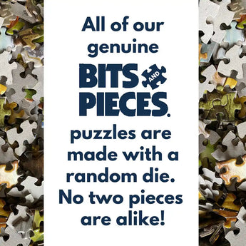 Set of 2 Alan Giana 300 Large Piece jigsaw Puzzles Bits and Pieces